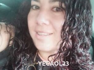 YECAOL23