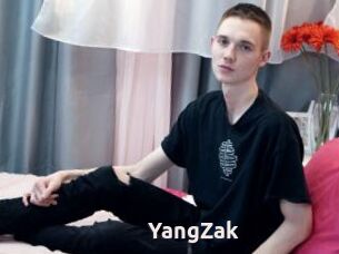 YangZak