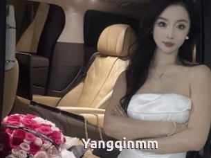 Yangqinmm