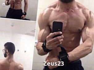 Zeus23