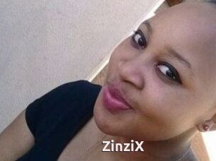 ZinziX