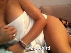 Zoeybird
